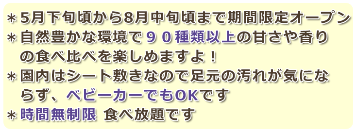 6月初から8月下旬まで期間限定オープン。90種類以上の甘さや香りの食べ比べを楽しめます。園内はシート敷きでベビーカーでもOKです。