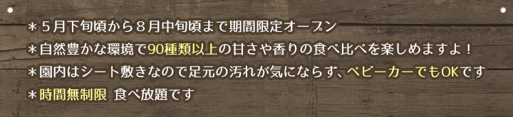 さくらベリーズガーデンについて